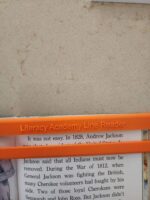 Literacy Academy Line Reader for Visual Tracking - Image 3