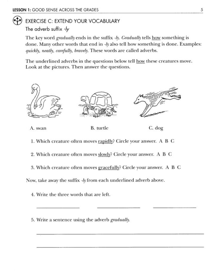 Vocabulary from Classical Roots Book 4 - Student Book - Image 8