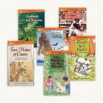 Making Connections - Comprehension Library 3 Starter Set - Grade 3