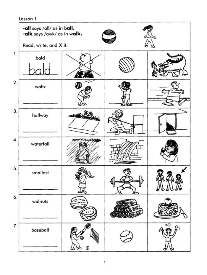 Explode the Code 5½ - literacyacademy.com