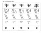 Go for the Code C - Image 2