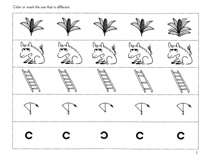 Go for the Code C - Image 2
