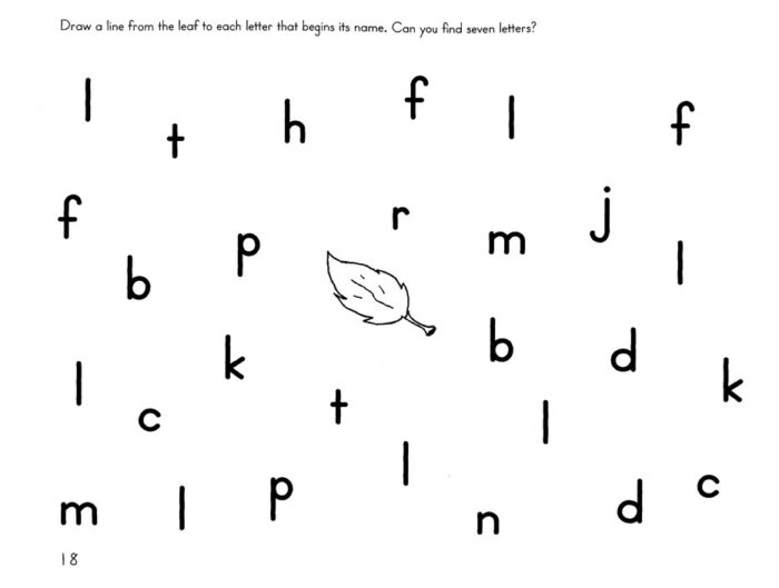 Go for the Code C - Image 3