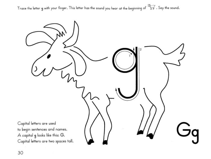 Go for the Code C - Image 5